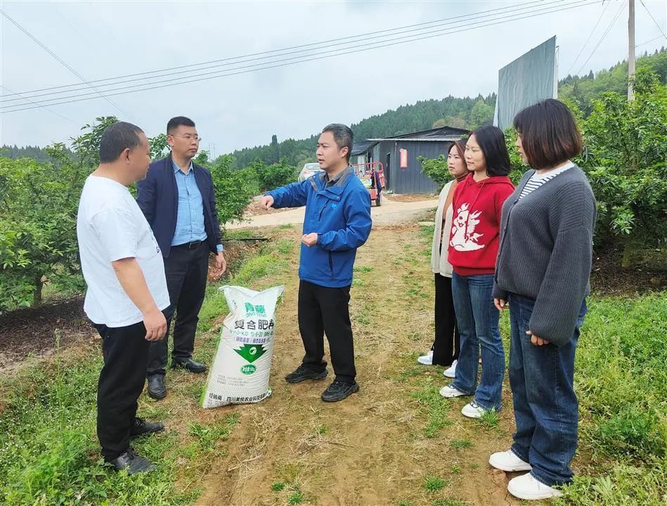 旌阳融媒：爱心化肥送上门 助力生产暖人心