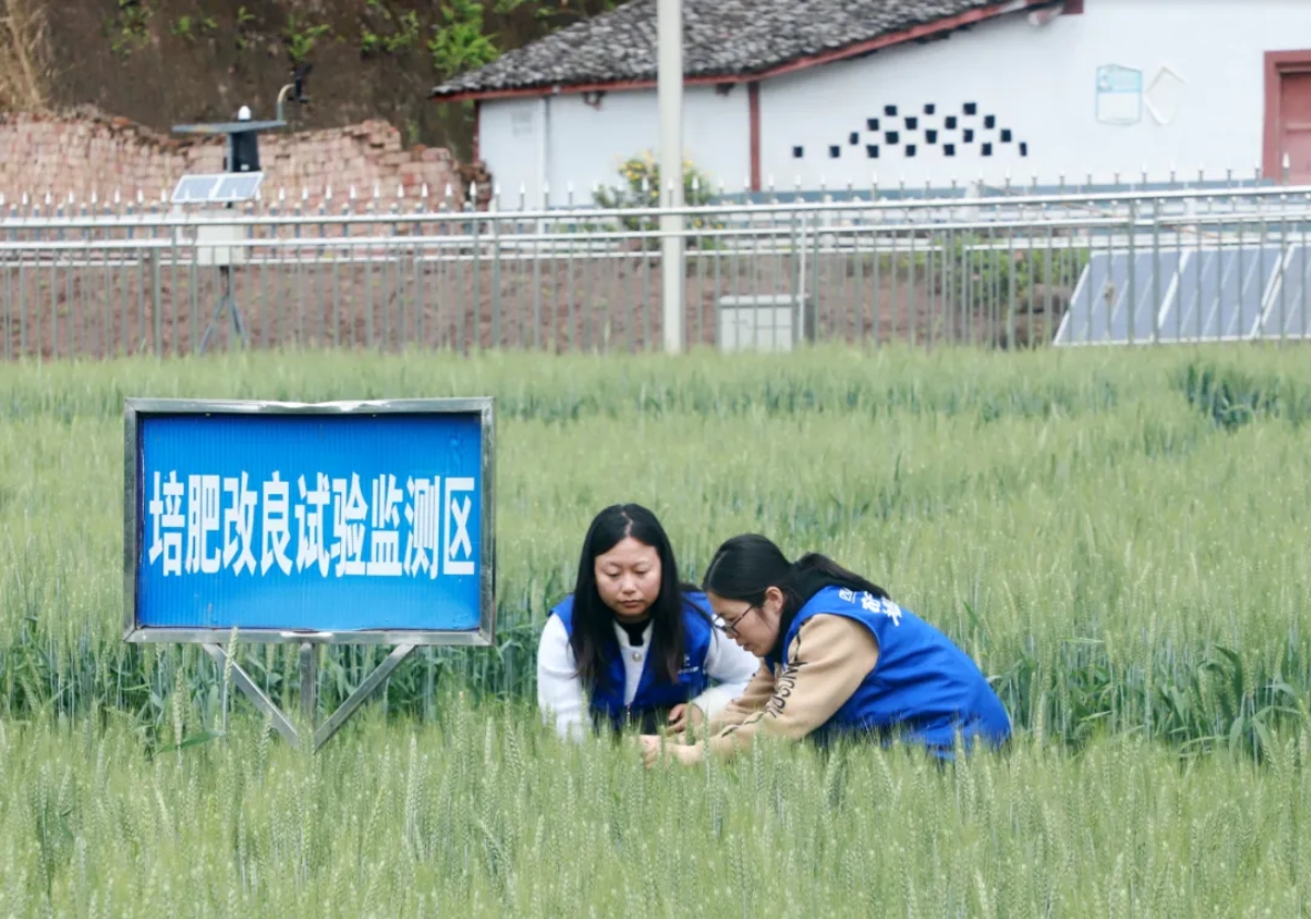 南方农村报：四川pp电子累计投入近1500万元建成5所科技小院