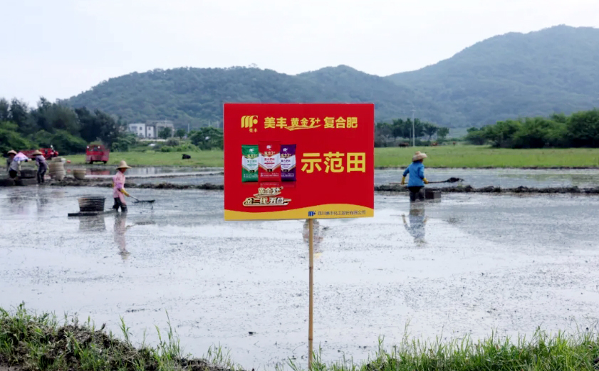 南方农村报：pp电子发力，阳江宝藏“明珠”丰收更轻松